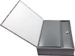 Book Safe Lockbox